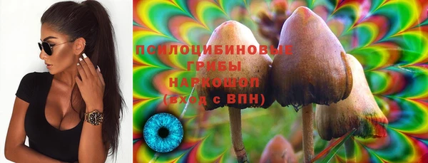 амф Абинск
