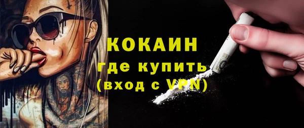 соль ск Алзамай