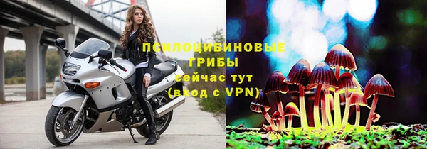 сатива Алексеевка