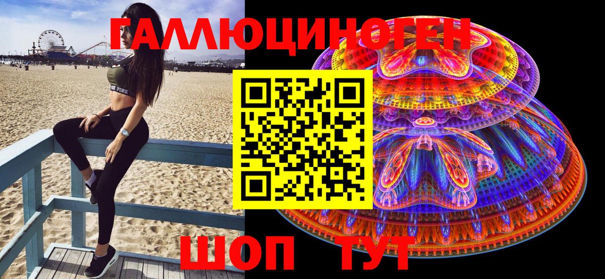 Псилоцибиновые грибы Psilocybine cubensis Карпинск
